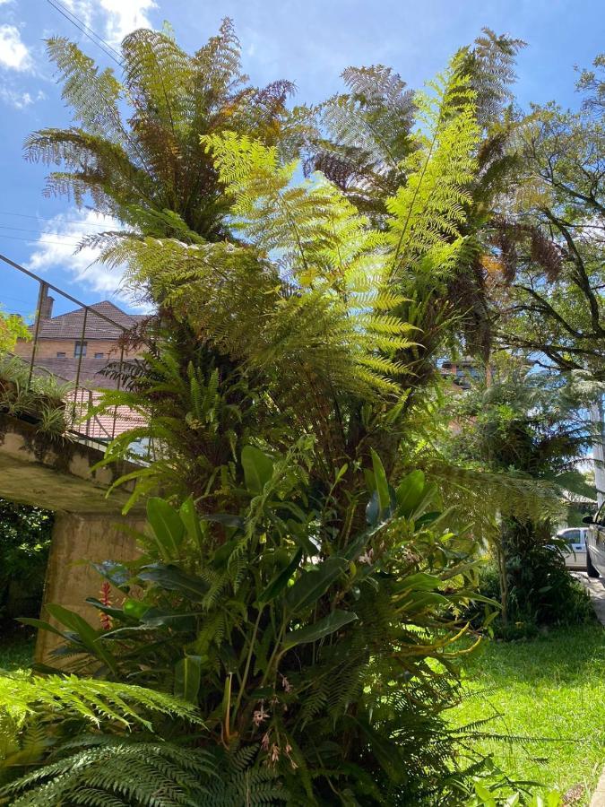 Casa Da Vo Diva No Centro De Gramado Villa Ngoại thất bức ảnh
