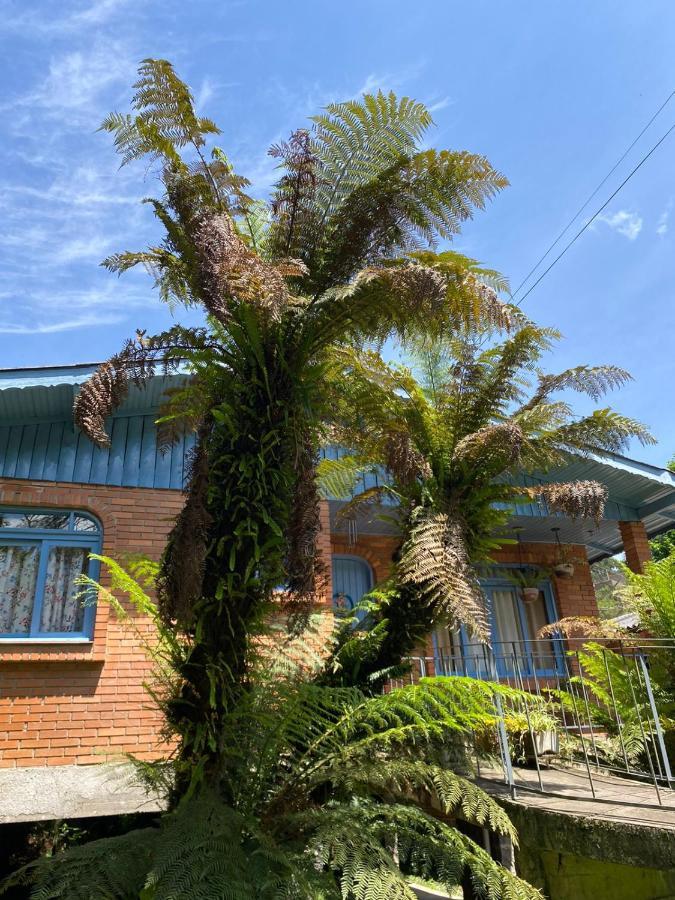 Casa Da Vo Diva No Centro De Gramado Villa Ngoại thất bức ảnh
